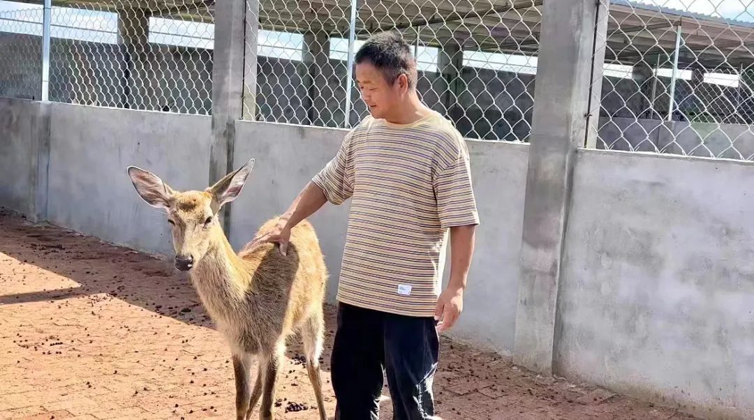 黄金城会员登录注册